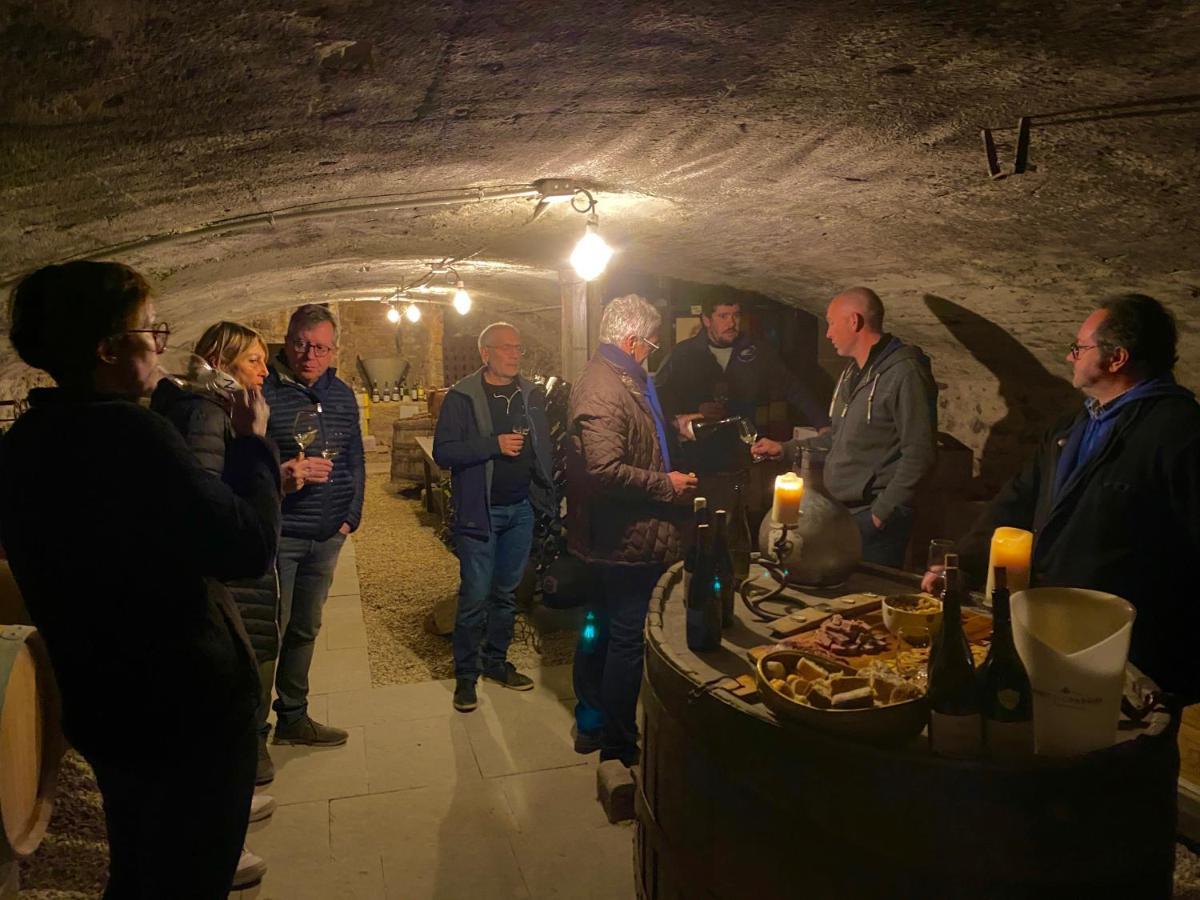 Chateau Des Janroux Juliénas Dış mekan fotoğraf