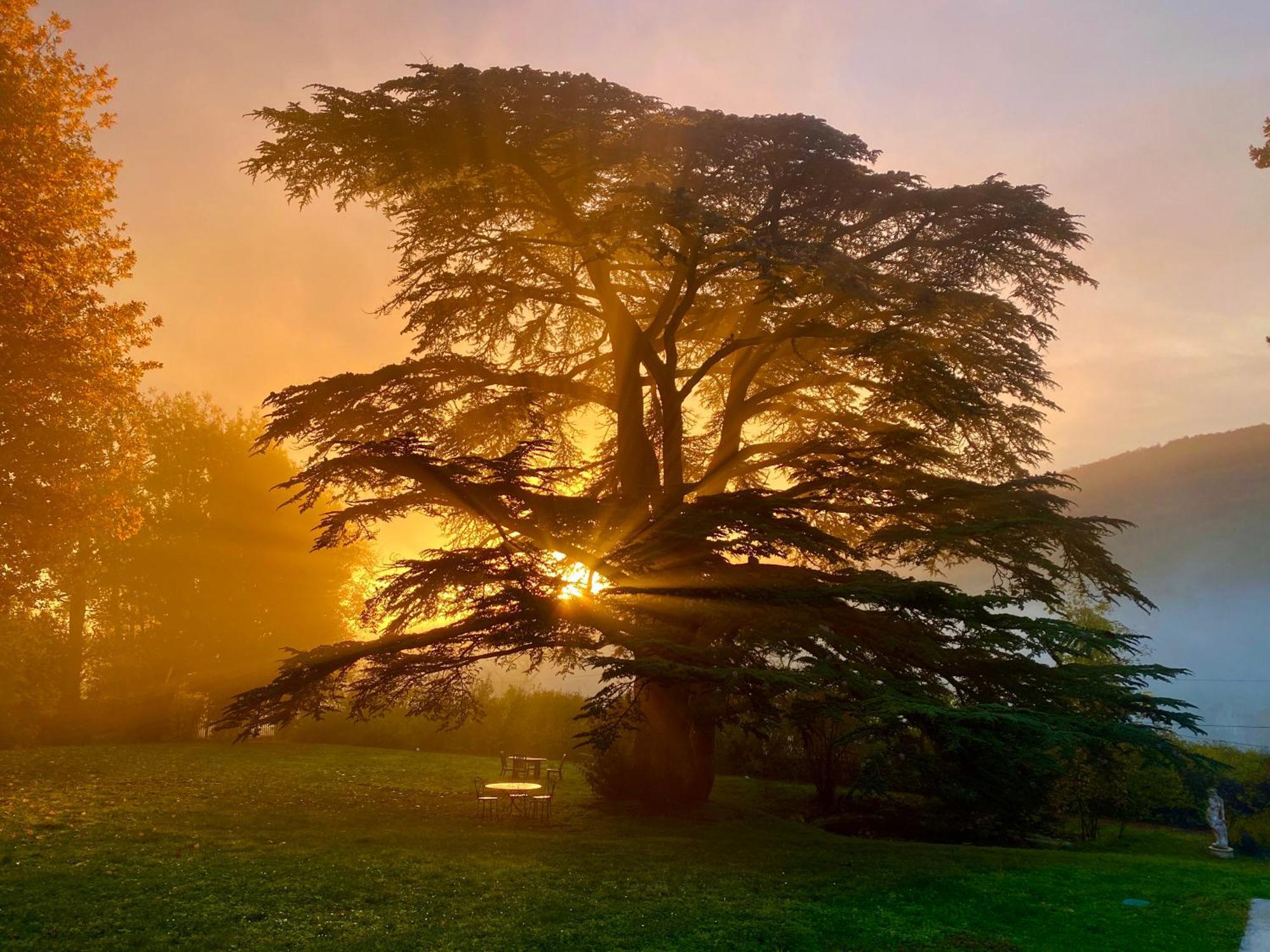 Chateau Des Janroux Juliénas Dış mekan fotoğraf